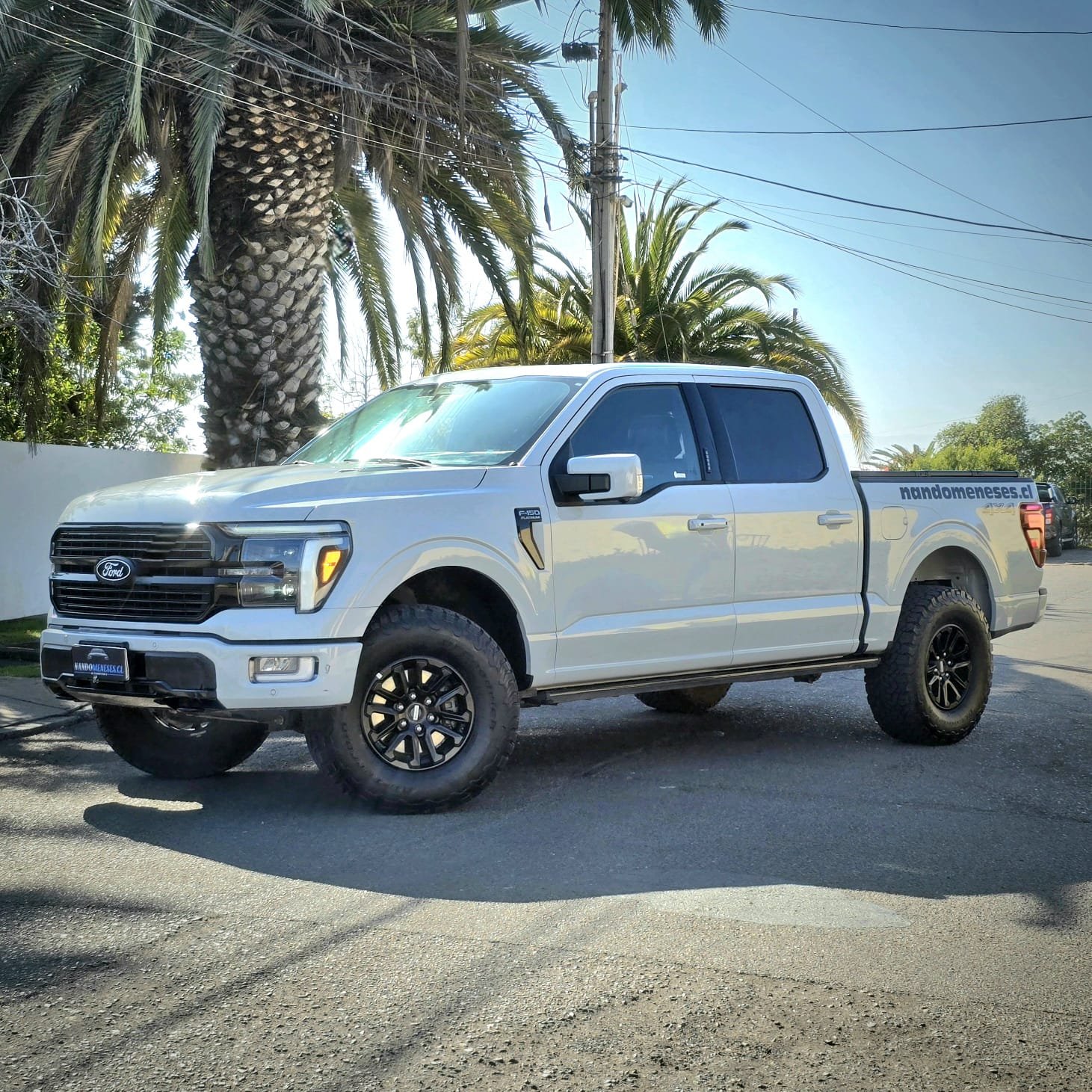 FORD F-150 PLATINUM