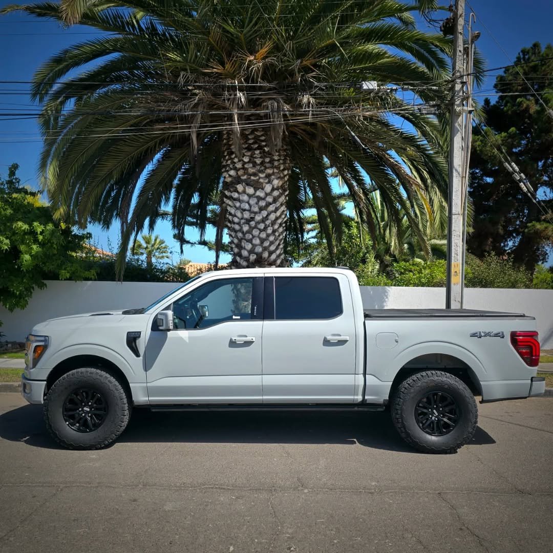 FORD F-150 PLATINUM foto 3