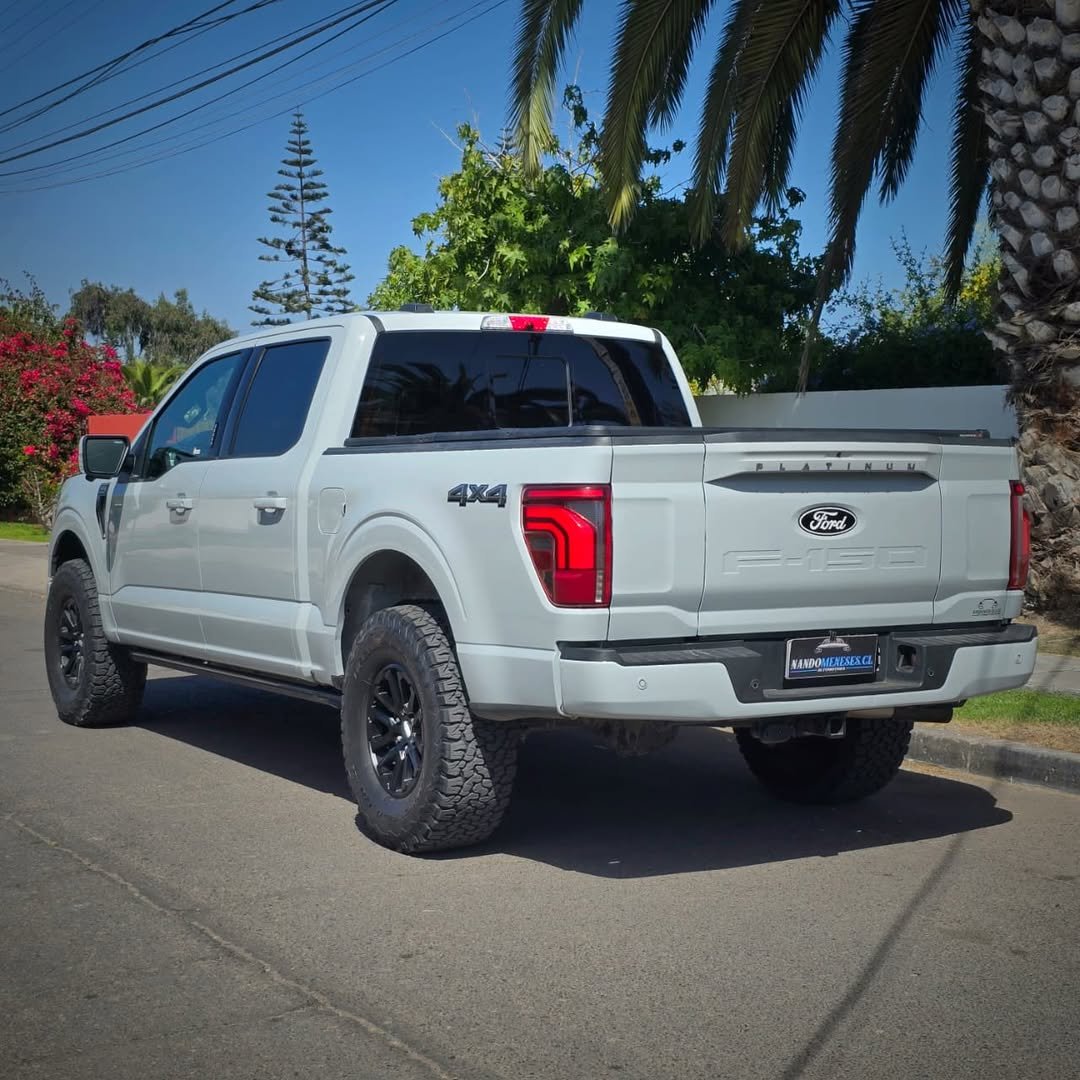 FORD F-150 PLATINUM foto 5