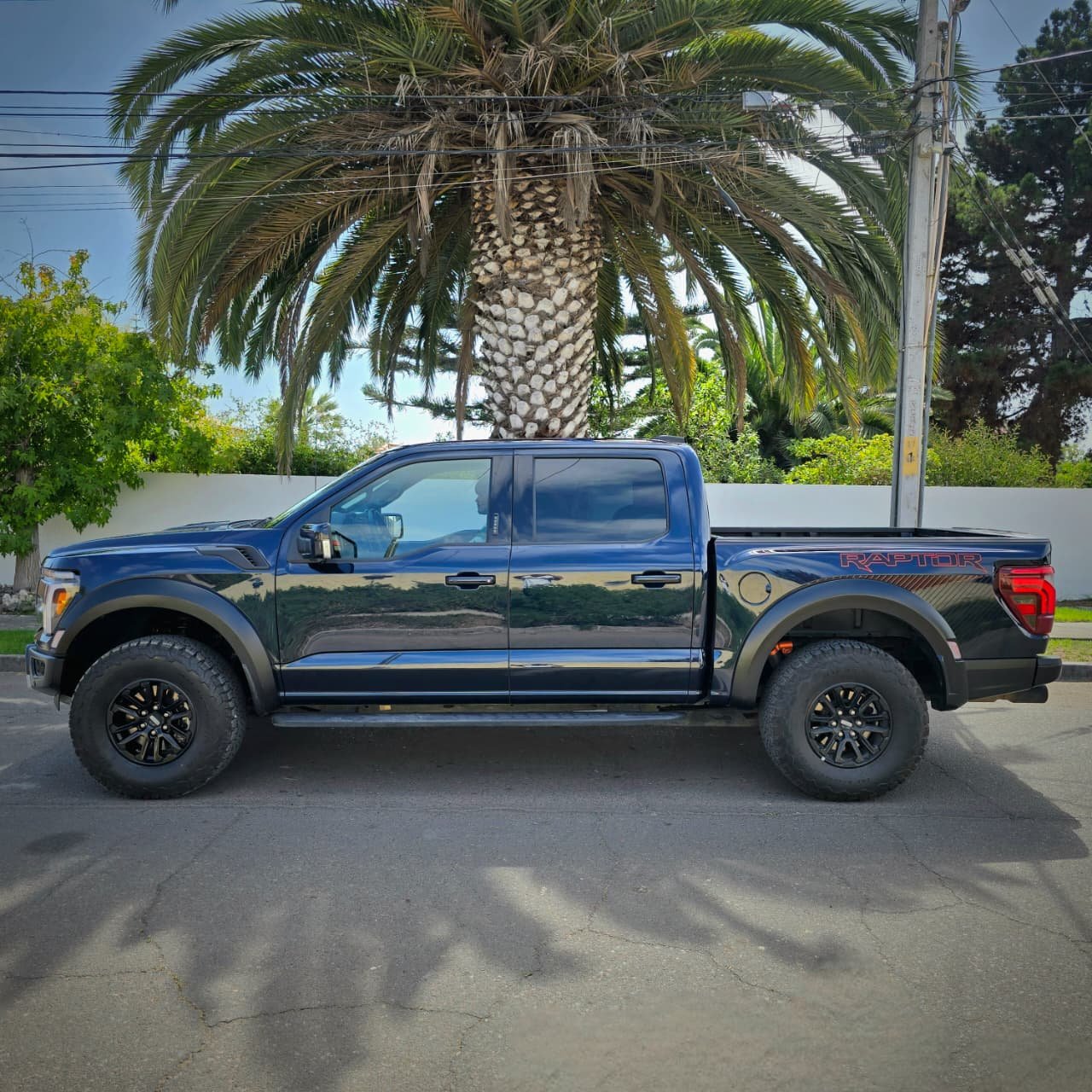 FORD F-150 RAPTOR foto 8