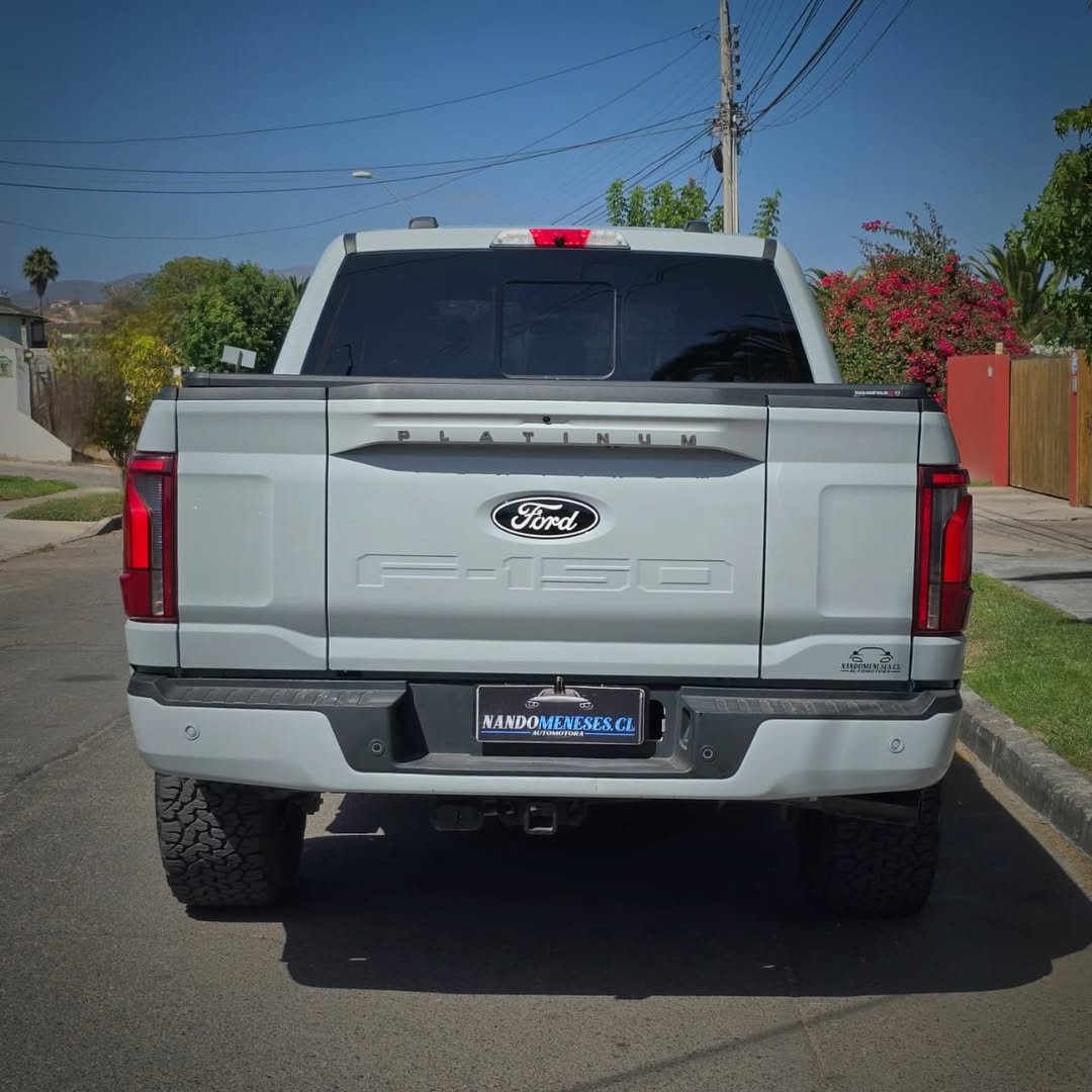 FORD F-150 PLATINUM foto 9