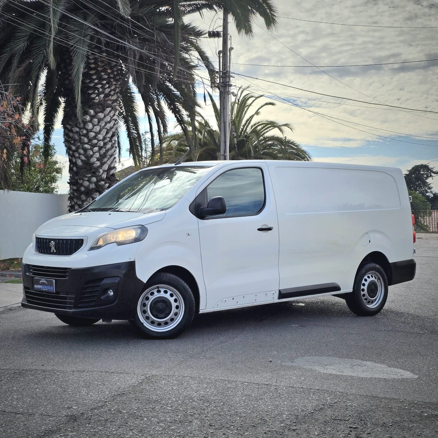 Peugeot X-PERT