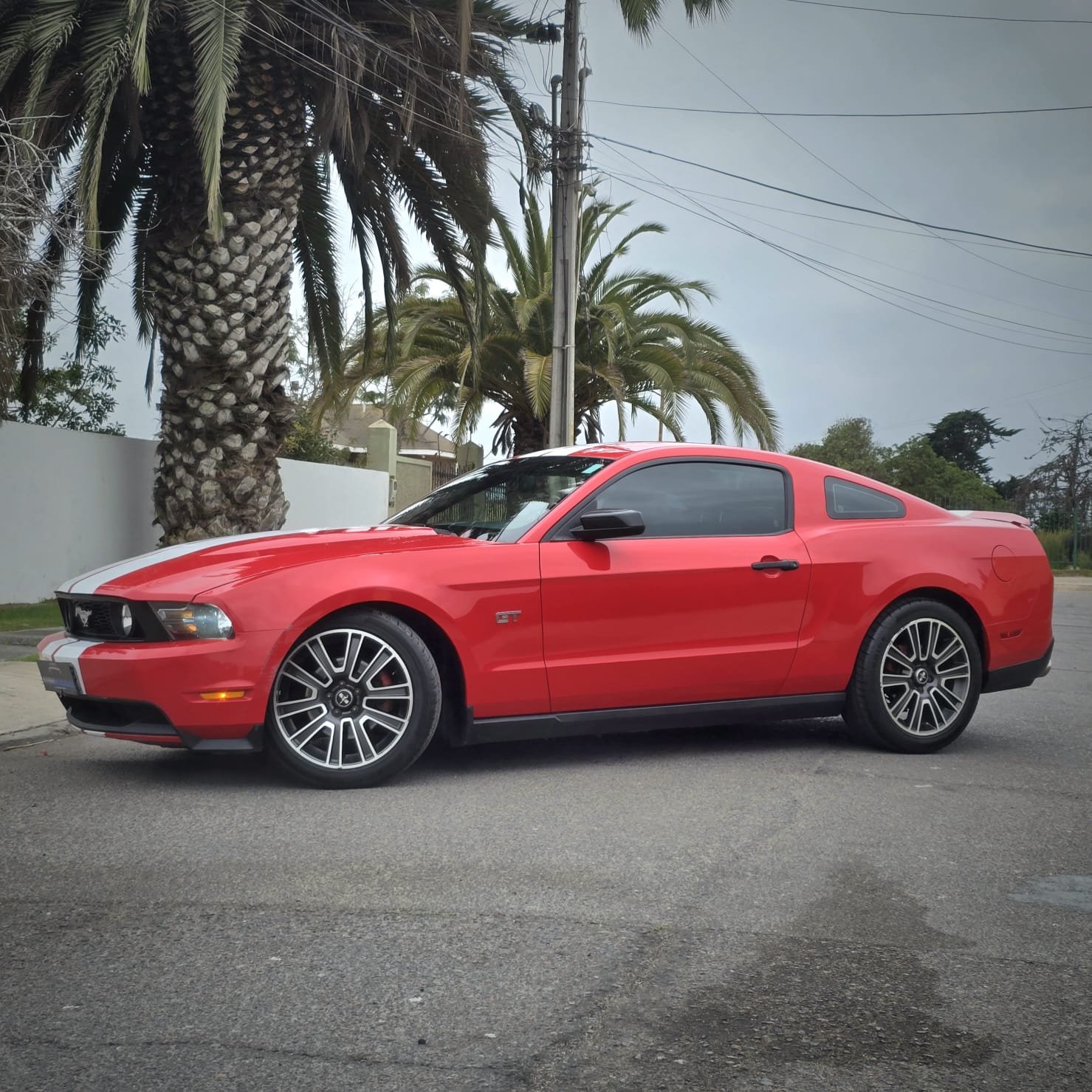 FORD MUSTANG V8