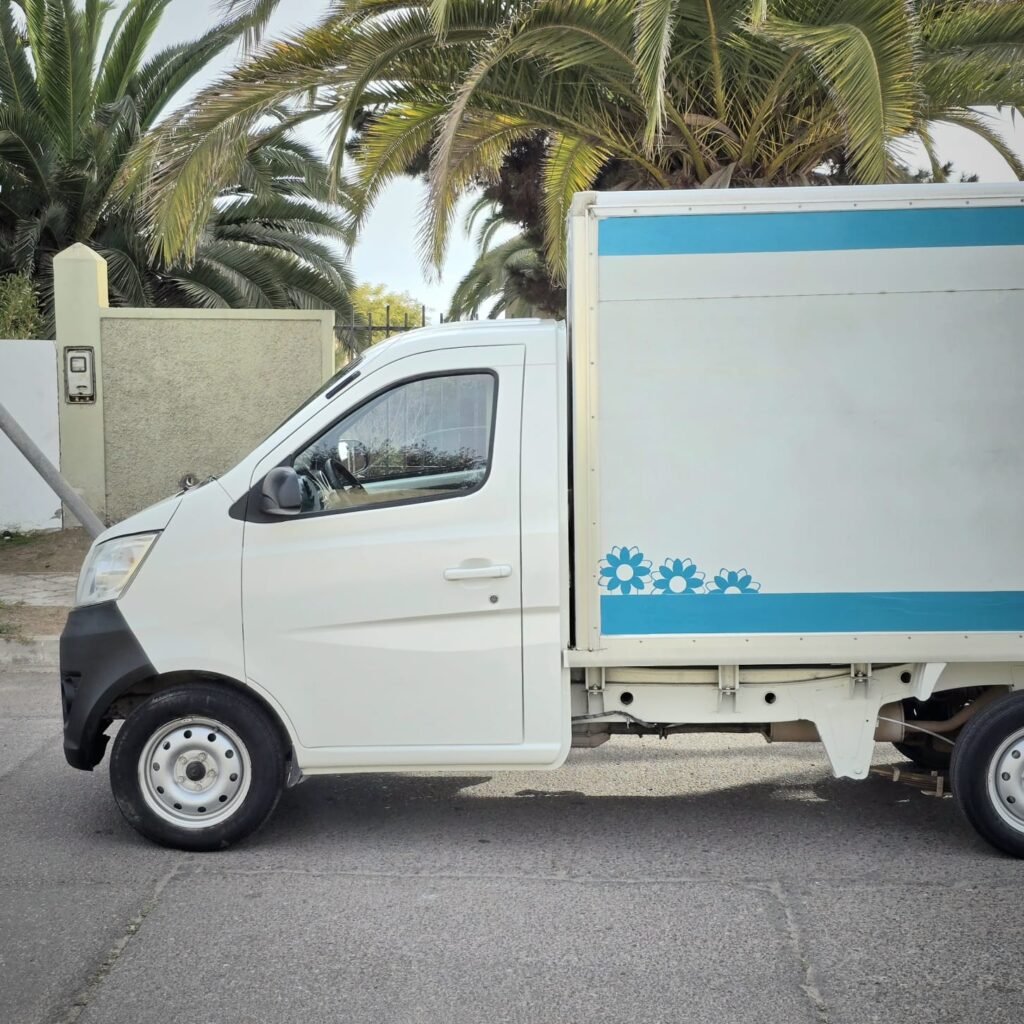 CHANGAN MD201 2019 foto 4