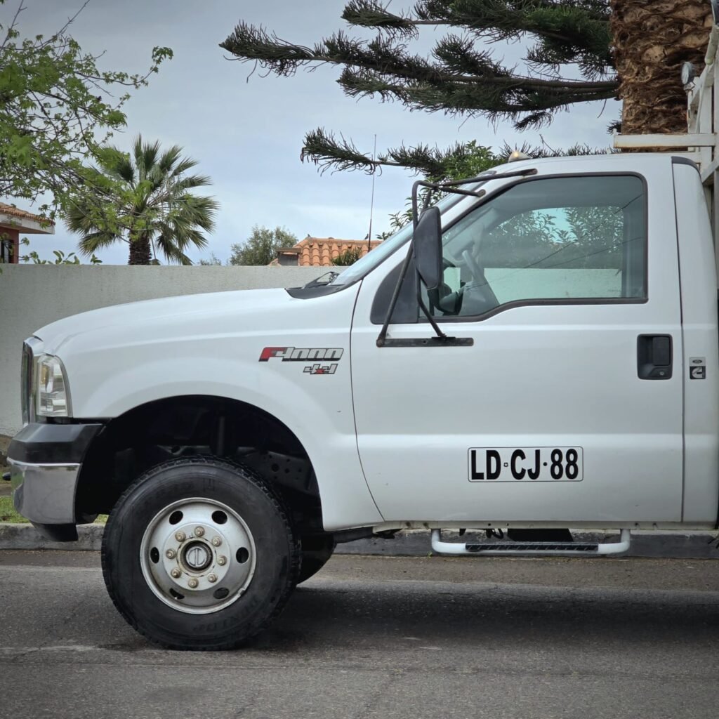 Ford F-4000 4X4 2019 foto 5